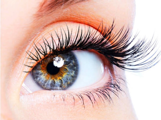 Đôi mắt của con người có các tuyến lệ tạo ra nước mắt, chất bôi trơn giúp giữ cho đôi mắt ẩm và khỏe mạnh