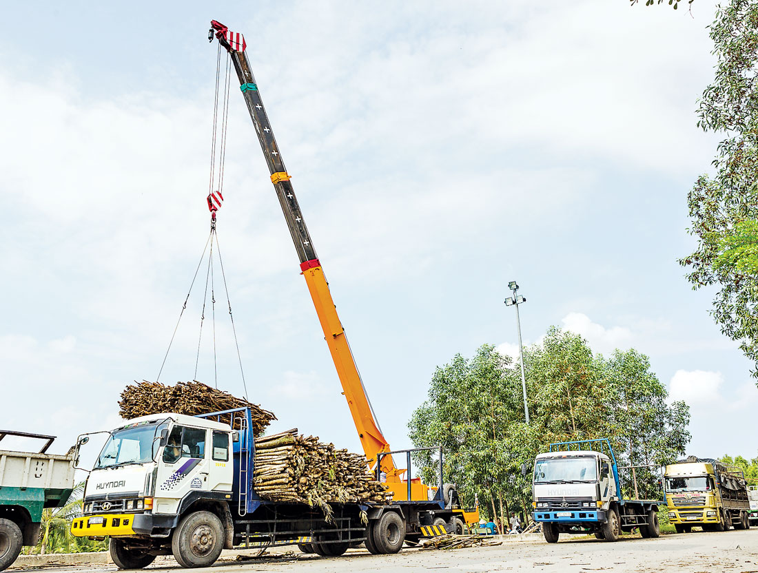 Hoạt động chuyên chở nguyên liệu phục vụ sản xuất tại Khu công nghiệp Phú An Thạnh - nơi có nhiều nhà đầu tư FDI