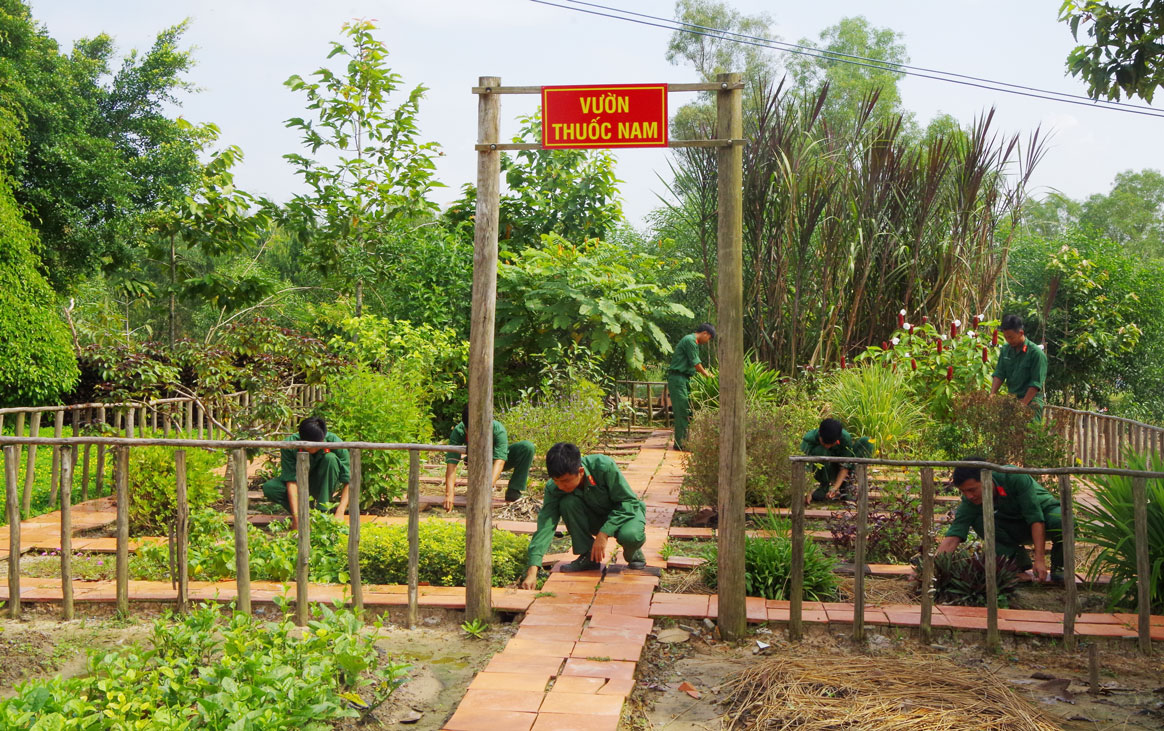 Đại đội Bộ binh huyện Thạnh Hóa xây dựng vườn thuốc Nam nâng cao sức khỏe bộ đội, vừa tạo mảng xanh cho đơn vị