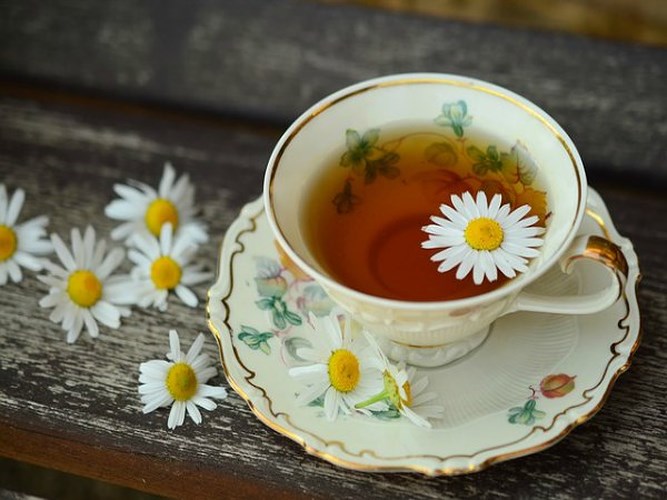 Từ lâu, trà hoa cúc trở thành một thức uống được yêu thích, không chỉ bởi hương thơm dịu mà còn bởi công dụng trong việc chữa trị nhiều bệnh
