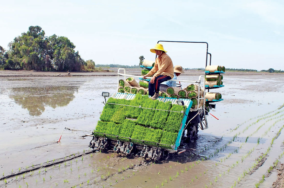 Ứng dụng công nghệ cao vào sản xuất giúp nông dân tăng năng suất, chất lượng nông sản