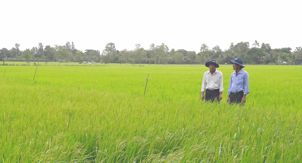 Lãnh đạo huyện kiểm tra tình hình sản xuất