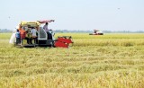 Đức Huệ: Vượt khó thực hiện đạt nhiều chỉ tiêu nghị quyết
