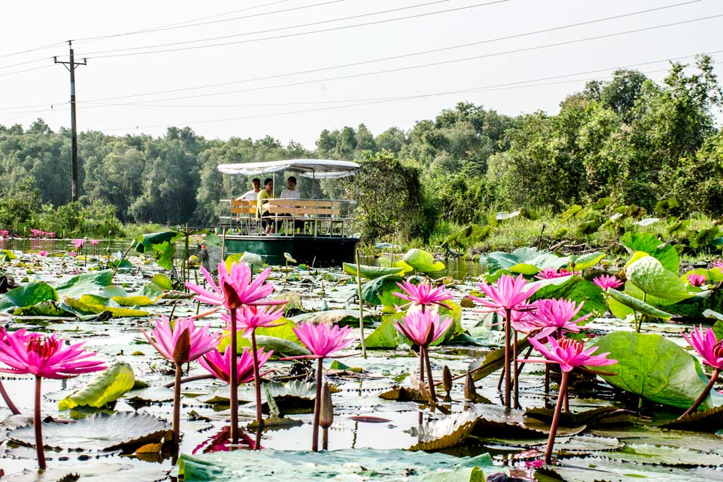 Đến với Làng nổi Tân Lập, du khách có dịp chiêm ngưỡng vẻ đẹp thiên nhiên nhiều thú vị