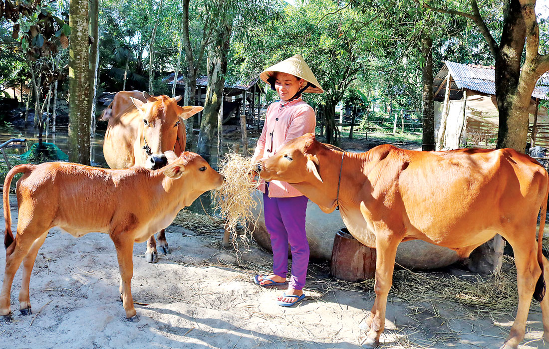 Việc thực hiện đồng bộ các chính sách xã hội tạo điều kiện cho nhiều gia đình vươn lên thoát nghèo bền vững