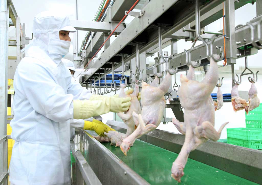 Doanh nghiệp, doanh nhân là động lực trong phát triển kinh tế - xã hội Sản phẩm được sản xuất trên dây chuyền hiện đại của công ty TNHH San Hà
