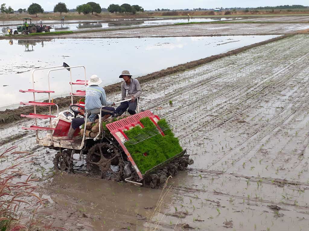 Phát huy vai trò của hợp tác xã nông nghiệp trong xây dựng nông thôn mới