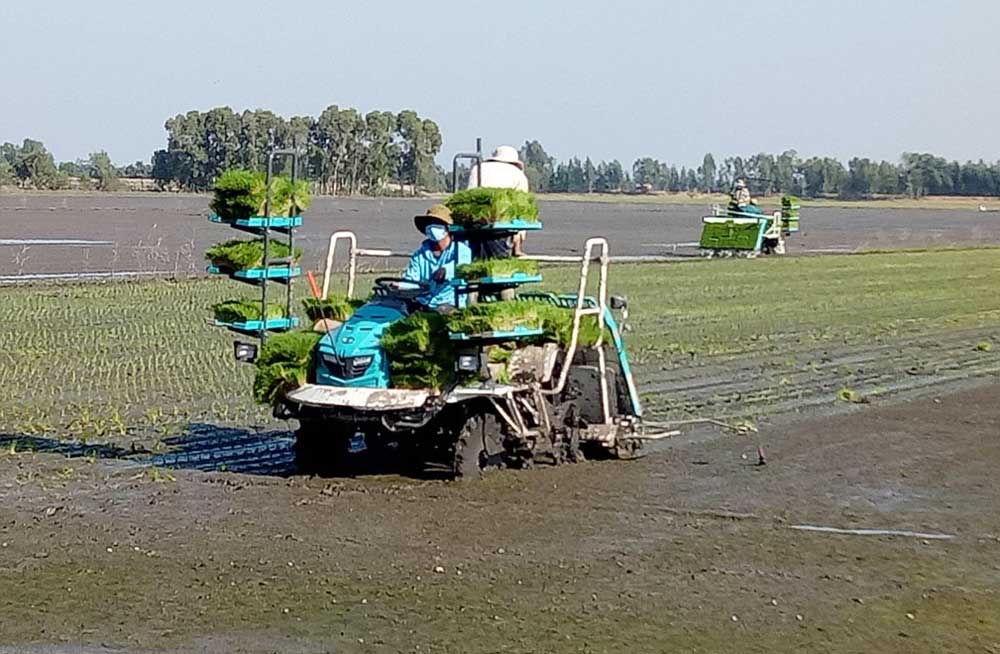 Phát huy vai trò của hợp tác xã nông nghiệp trong xây dựng nông thôn mới