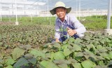 Sức lan tỏa từ phong trào thi đua Dân vận khéo Sức lan tỏa từ phong trào thi đua Dân vận khéo