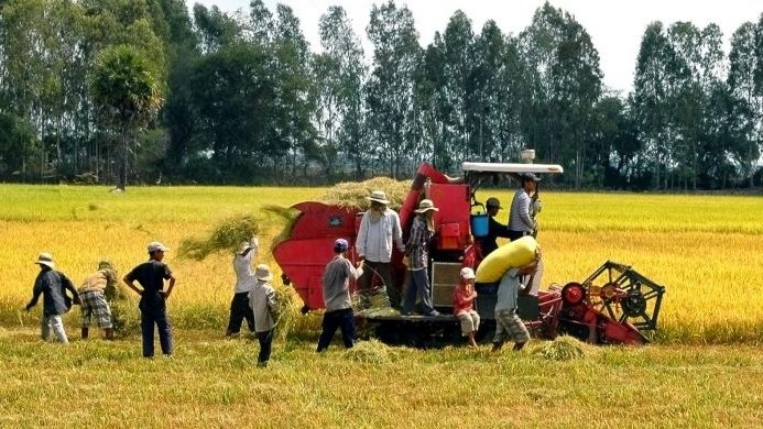 World Food Day calls for action towards zero hunger by 2030