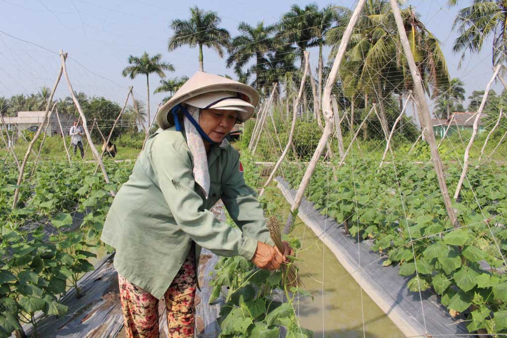 Qua các lớp dạy nghề nông thôn, người dân tự tạo được việc làm tại địa phương