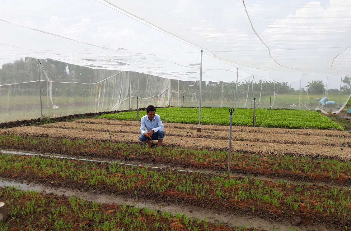 Hợp tác xã phải là hạt nhân trong sản xuất ứng dụng công nghệ cao Ảnh: Hoàng Lê