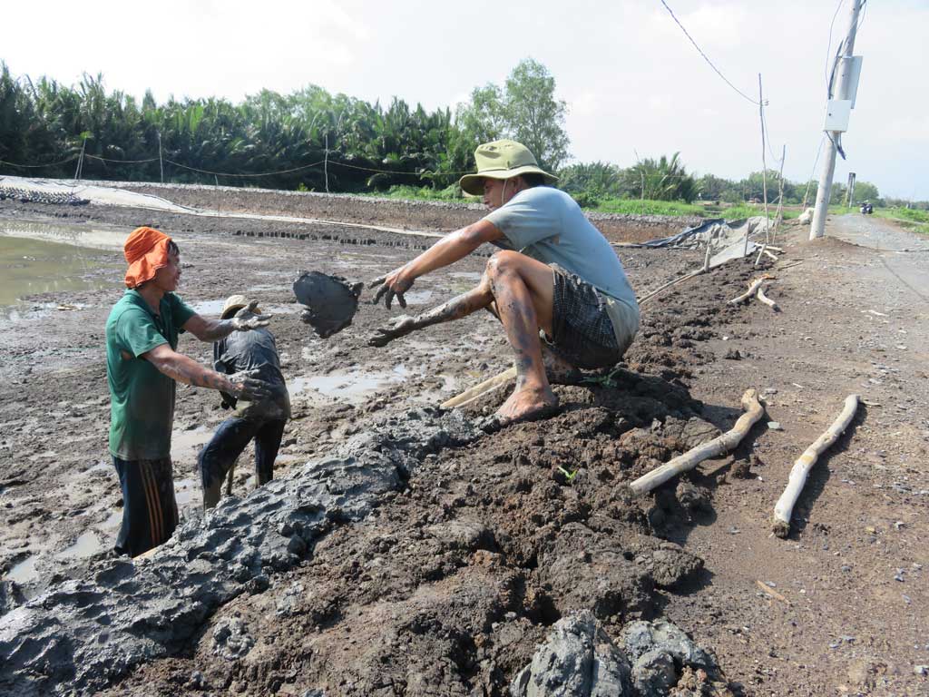 Nông dân chủ động gia cố bờ bao nuôi tôm trên diện tích ngoài đê Nhựt Ninh, huyện Tân Trụ. Ảnh: Mai Hương