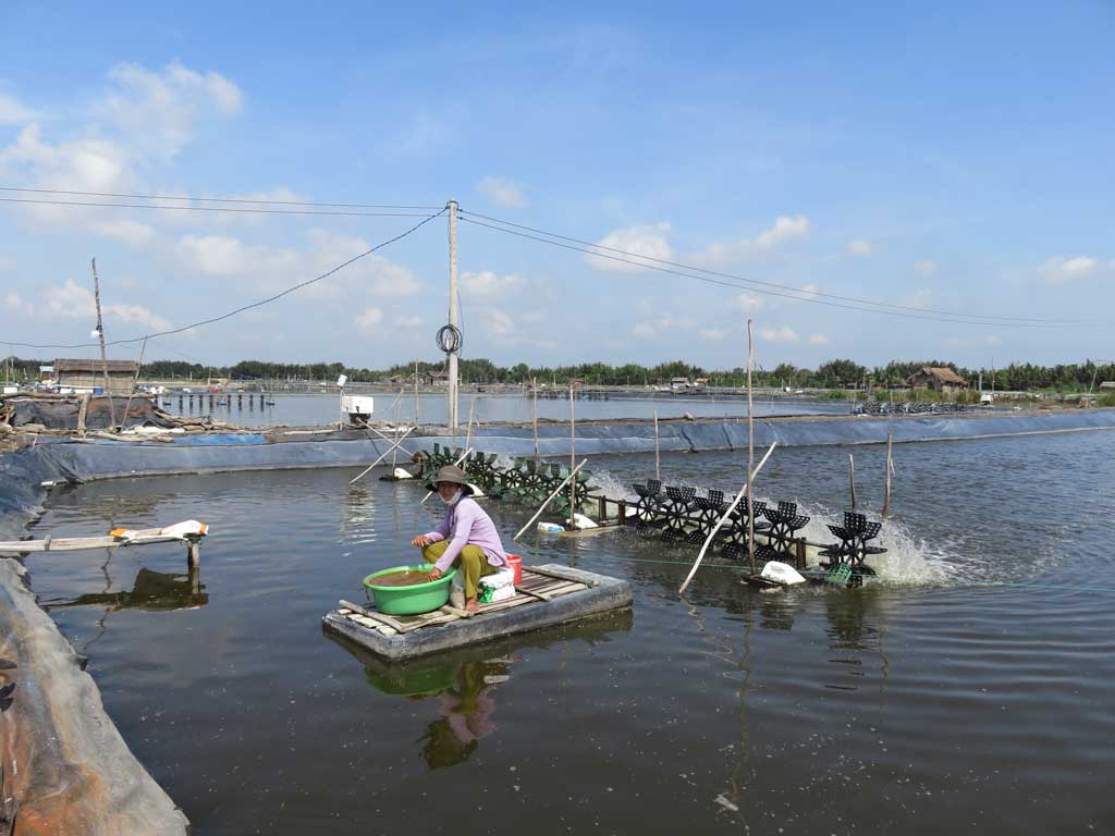 Nông dân phấn khởi khi đê Nhựt Ninh (huyện Tân Trụ) hoàn thành, chủ động sản xuất