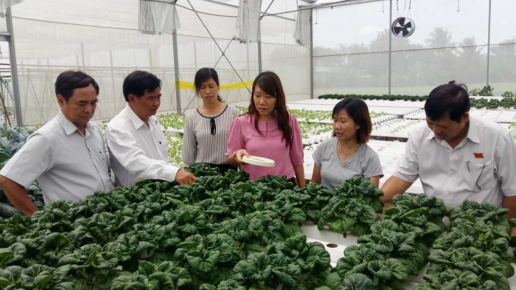 Bài cuối: Để hợp tác xã kiểu mới phát triển bền vững