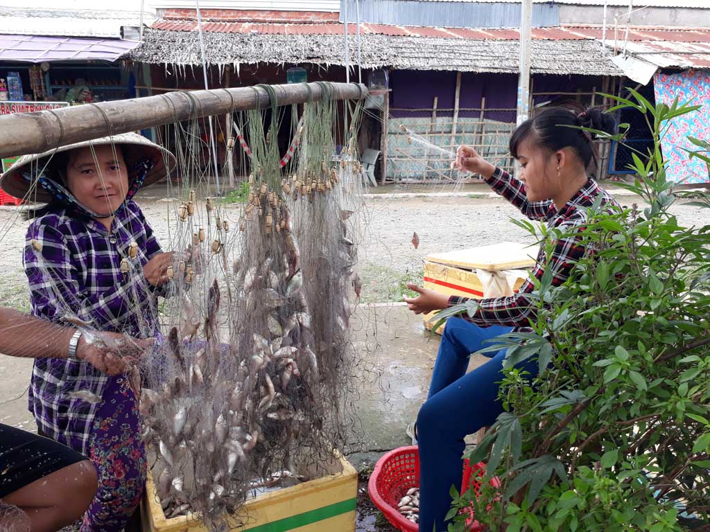 Mùa nước nổi năm nay, lượng thủy sản dồi dào giúp người dân vùng lũ có thêm thu nhập