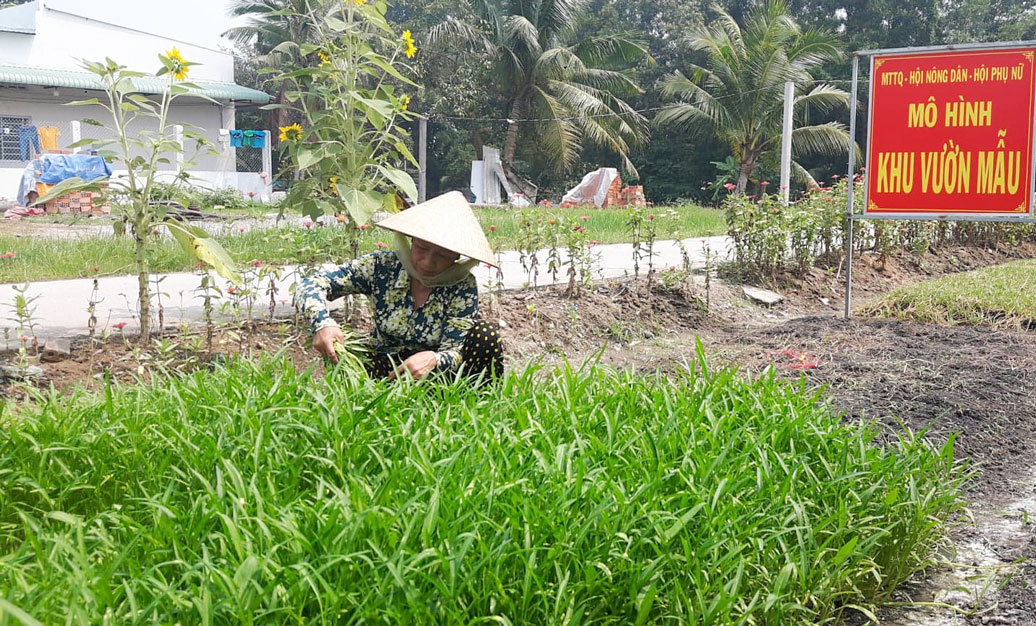 Khu vườn kiểu mẫu bước đầu mang lại thu nhập cao và ổn định cho gia đình bà Nguyễn Thị Nghĩ