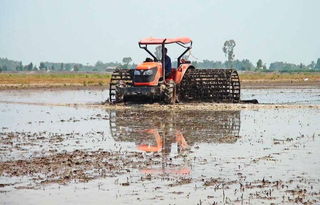 Hiện tại, các vùng có đê bao, nông dân đang tranh thủ vệ sinh đồng ruộng, chuẩn bị gieo sạ đợt 2