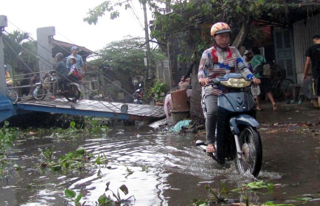 Long An: Dự kiến đỉnh triều cường từ 07 - 09/11 tại trạm Tân An lên mức 1,55m