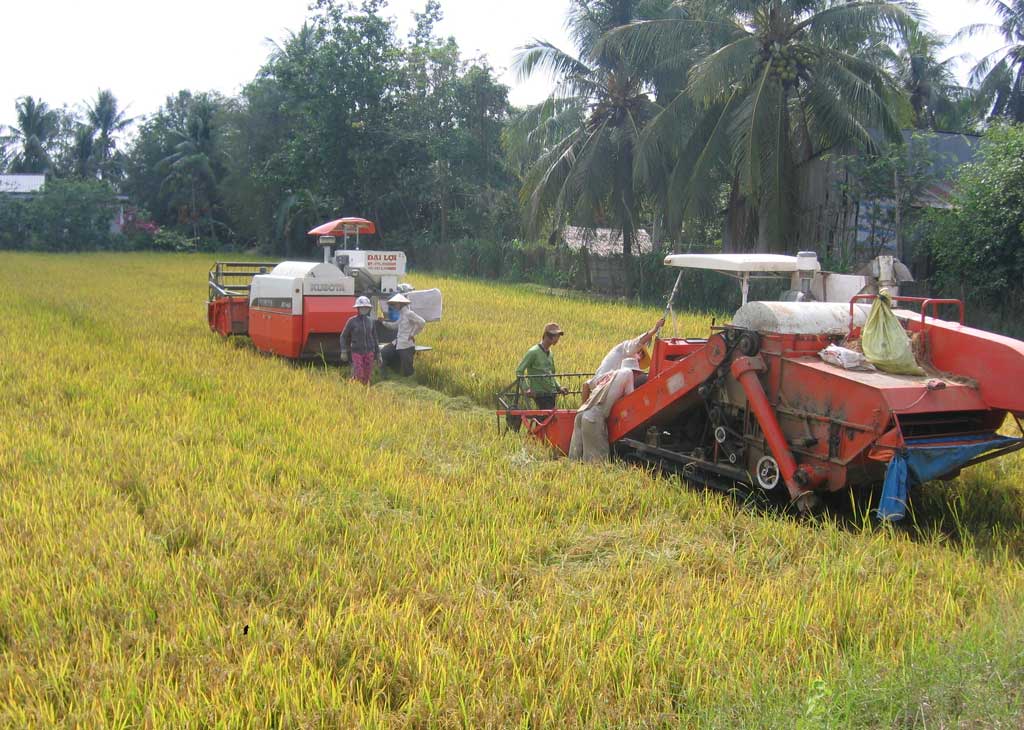 Nông nghiệp ứng dụng công nghệ cao mang lại nhiều hiệu quả