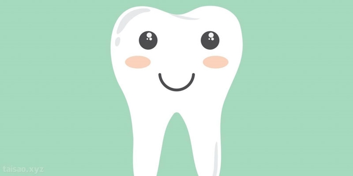 Phô mai kích thích sản xuất nước bọt trong miệng, giúp loại bỏ thức ăn dính lại trên răng, nướu, nhờ đó có thể giúp cho răng miệng bạn sạch sẽ