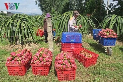 Kim ngạch xuất khẩu 2018 dự báo đạt 240 tỉ USD
