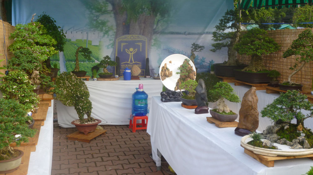 Gian trưng bày sinh vật cảnh huyện Cần Giuộc