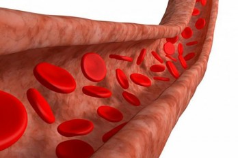 Những lợi ích bất ngờ của việc uống nước ấm buổi sáng