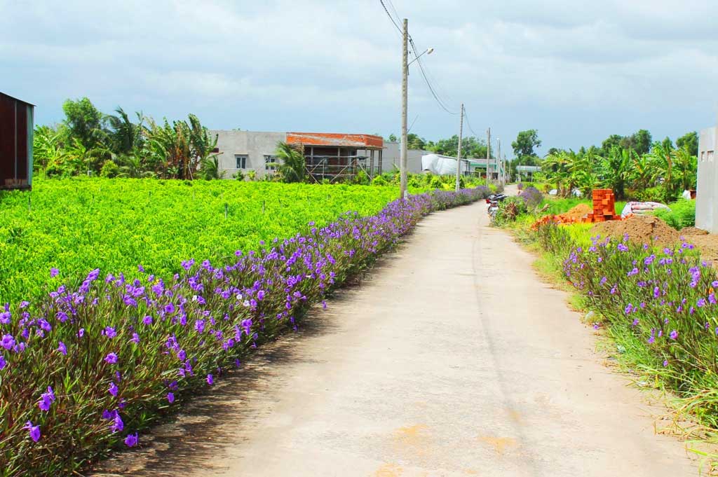 Đường giao thông nông thôn ngày càng khang trang, sạch, đẹp