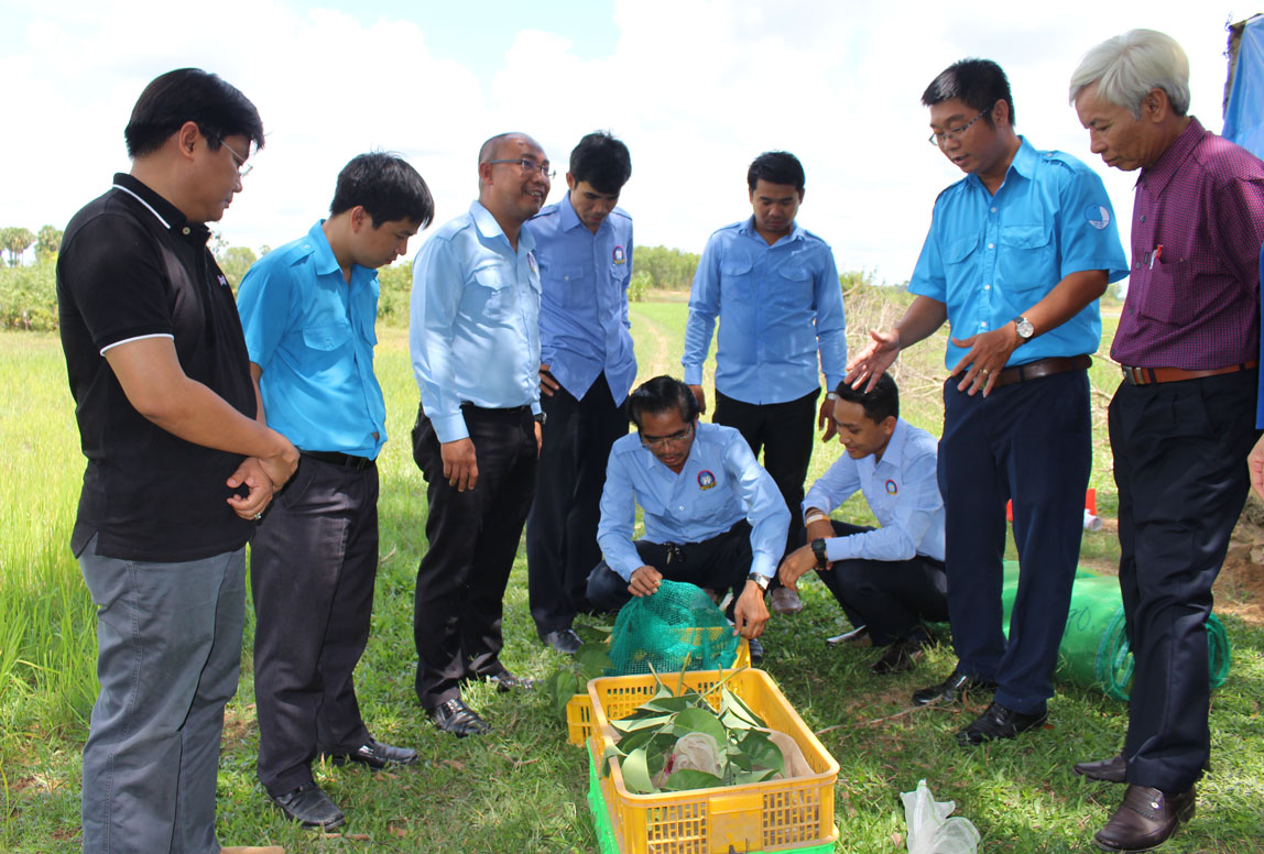 Buổi chuyển giao ếch giống và kỹ thuật chăn nuôi của thanh niên Long An cho thanh niên tỉnh Svay Rieng