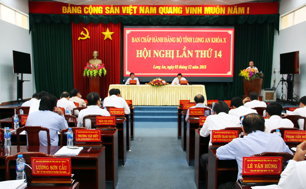 Long An Party Committee conference defines targets for 2019