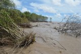 Cà Mau đã mất hơn 8.800 ha đất rừng phòng hộ do biến đổi khí hậu