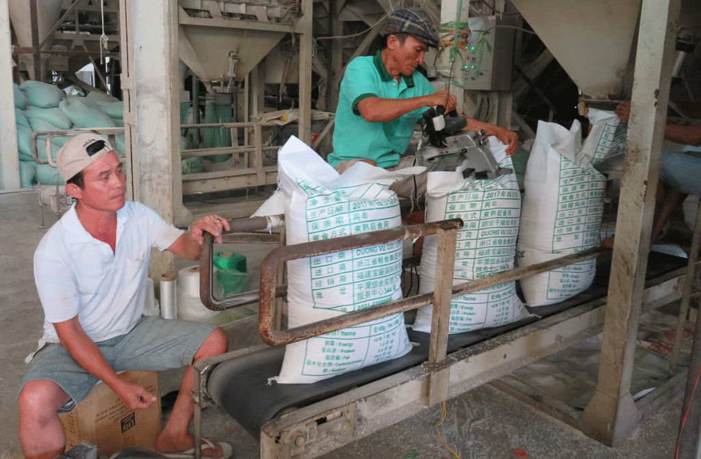 Hoạt động chế biến gạo tại doanh nghiệp trên địa bàn tỉnh