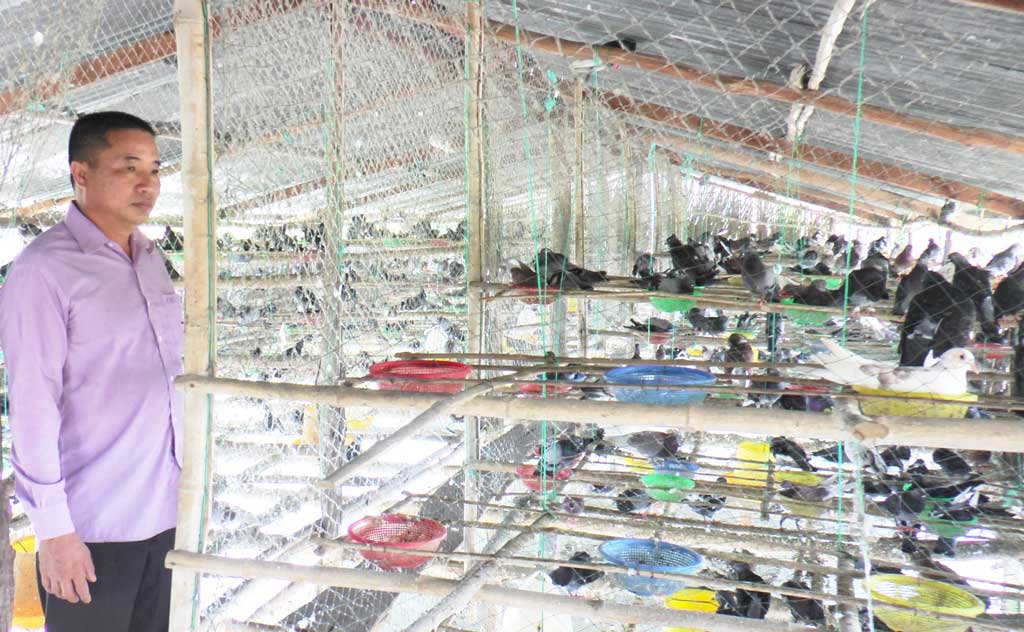 Mô hình chăn nuôi kết hợp mang lại hiệu quả kinh tế cao  Binh Phuoc Tin  tuc Binh Phuoc Tin mới tỉnh Bình Phước