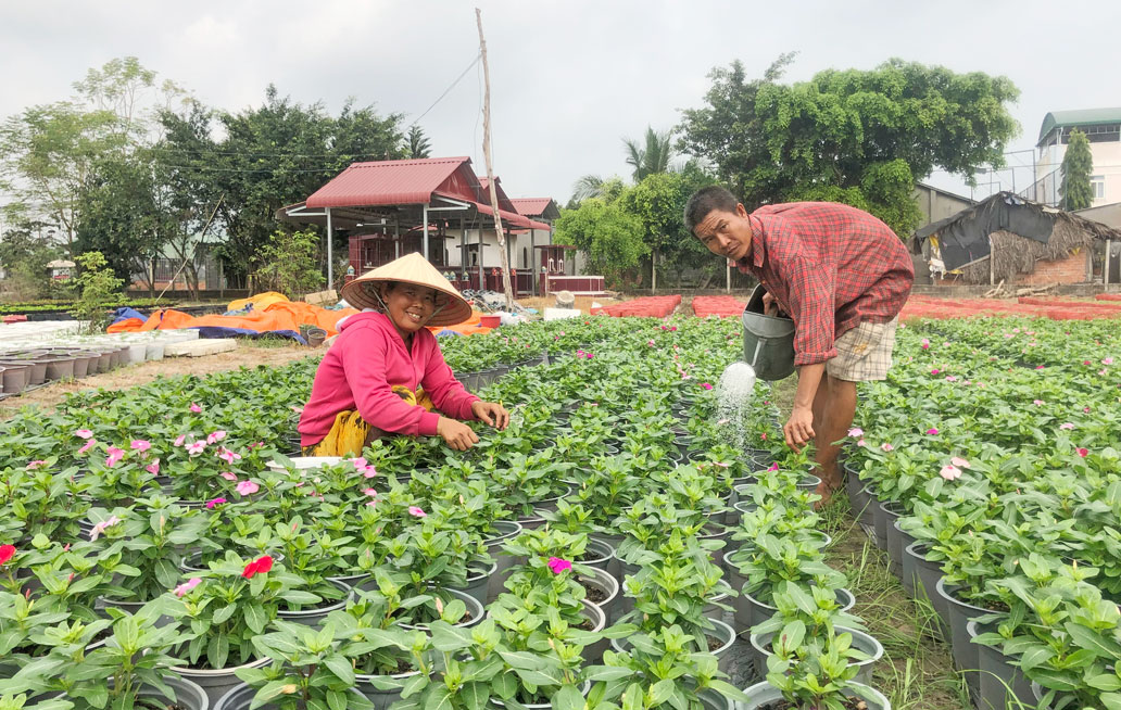 Vợ chồng anh Huỳnh Văn Kiệt chăm sóc vườn hoa tết của mình