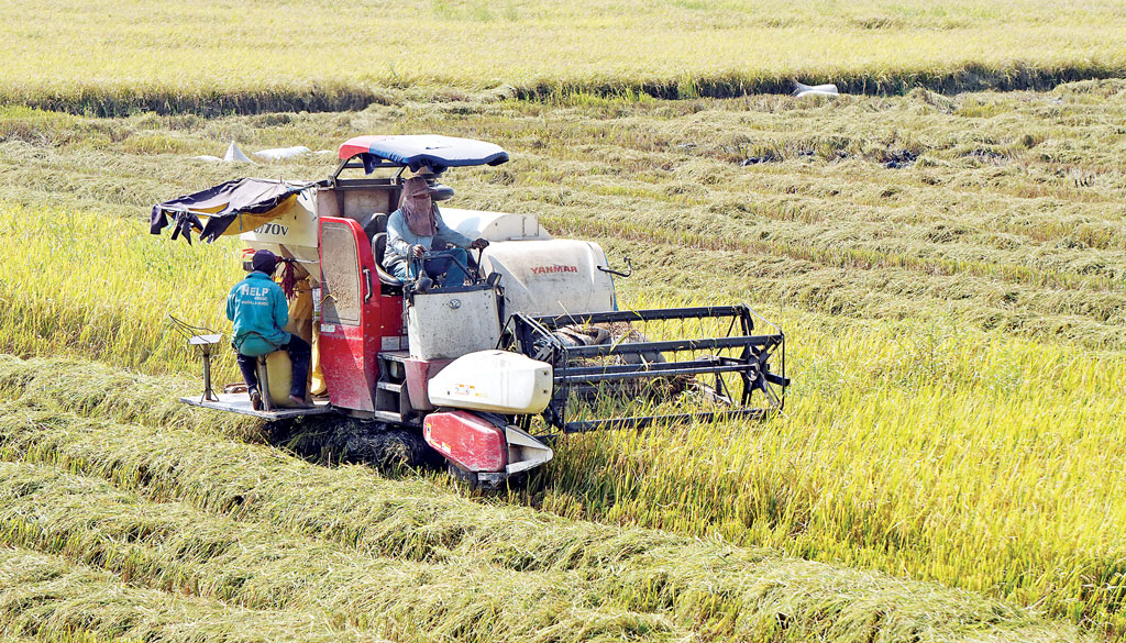 Ứng dụng cơ giới hóa vào sản xuất giúp nông dân tiết kiệm chi phí, công lao động