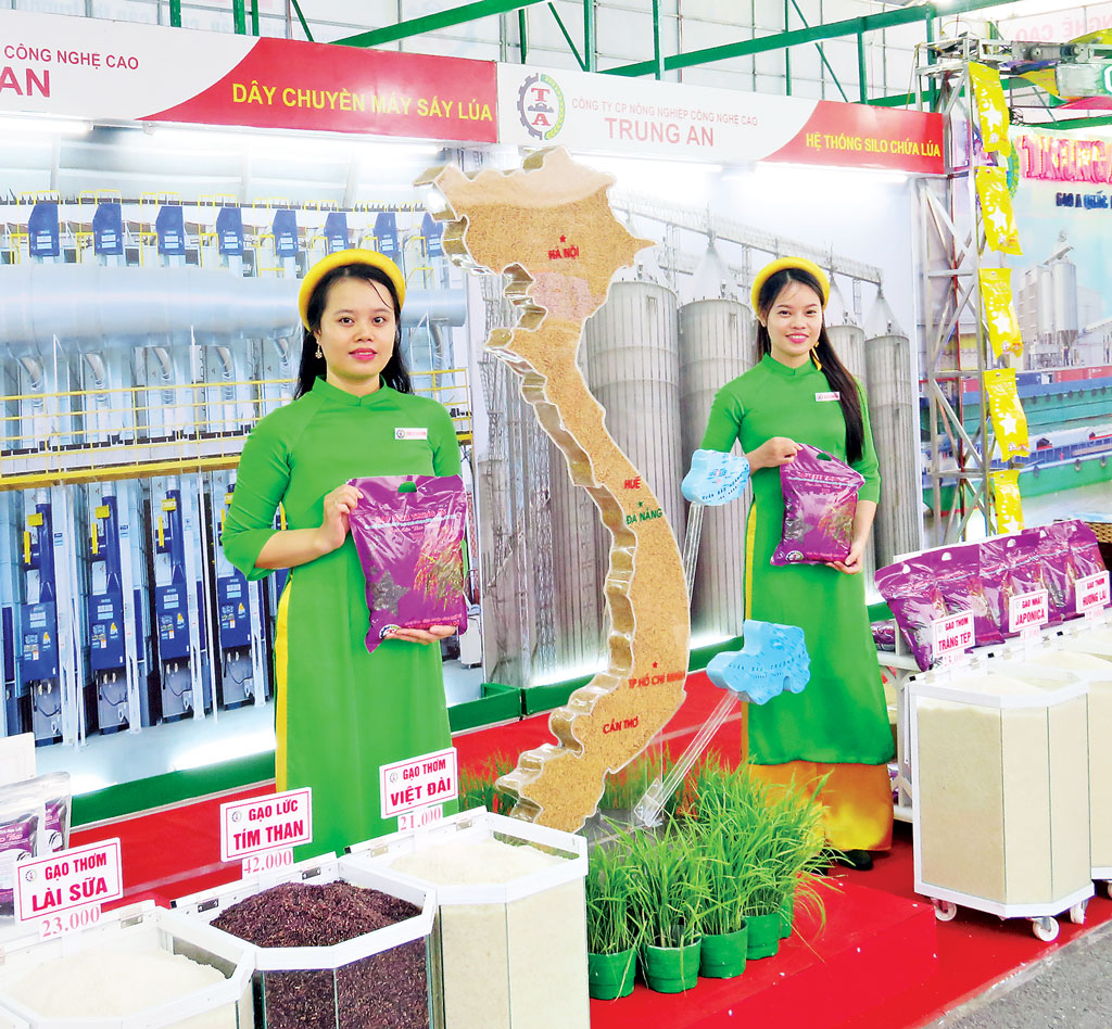 Gạo Việt vươn tầm thế giới