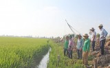 Nhơn Hòa Lập: Học tập và làm theo gương Bác bằng những việc làm thiết thực Nhơn Hòa Lập: Học tập và làm theo gương Bác bằng những việc làm thiết thực