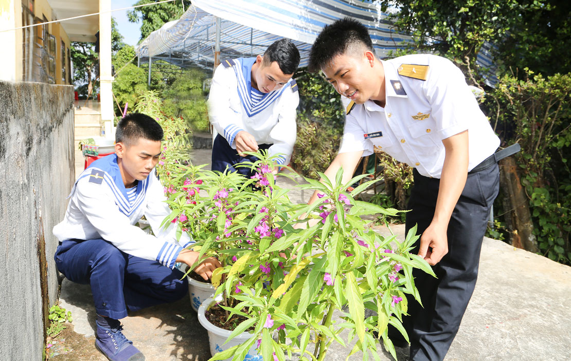 Cán bộ, chiến sĩ Trạm ra đa 595 trên đảo Hòn Khoai chăm sóc vườn hoa, cây cảnh đón tết