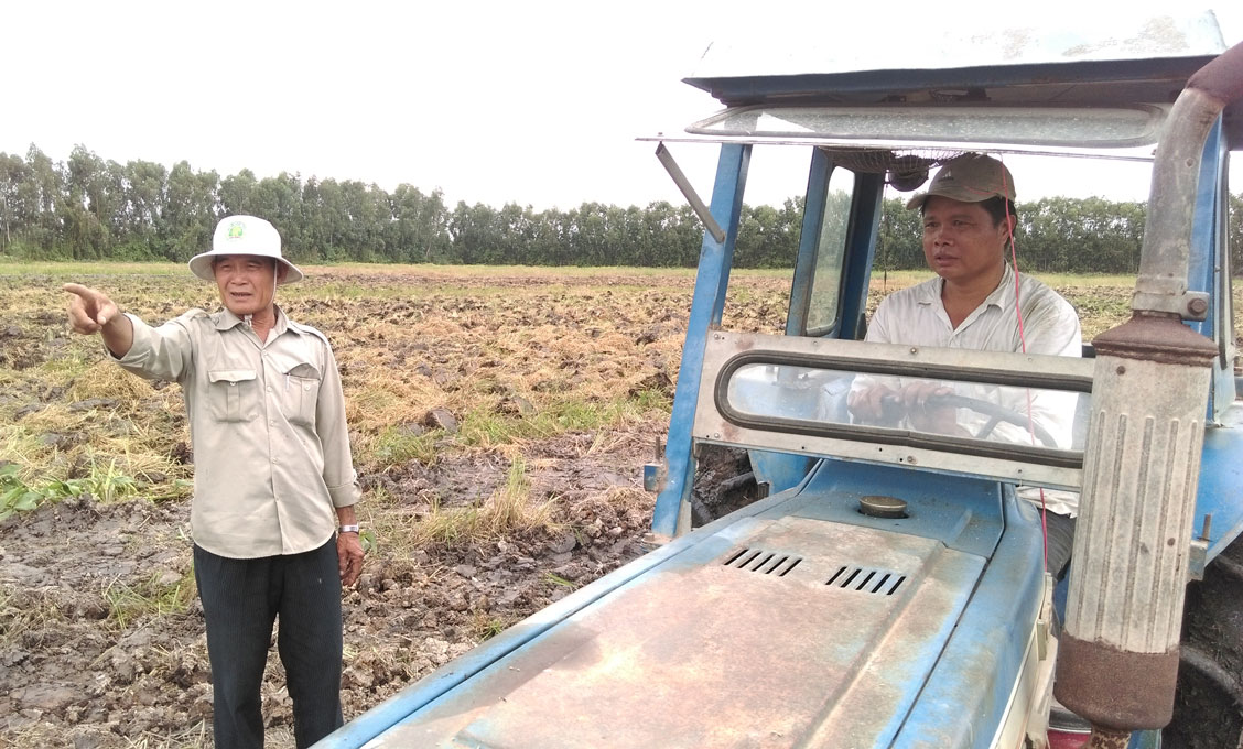 Dù tuổi cao nhưng ông vẫn luôn hăng say lao động