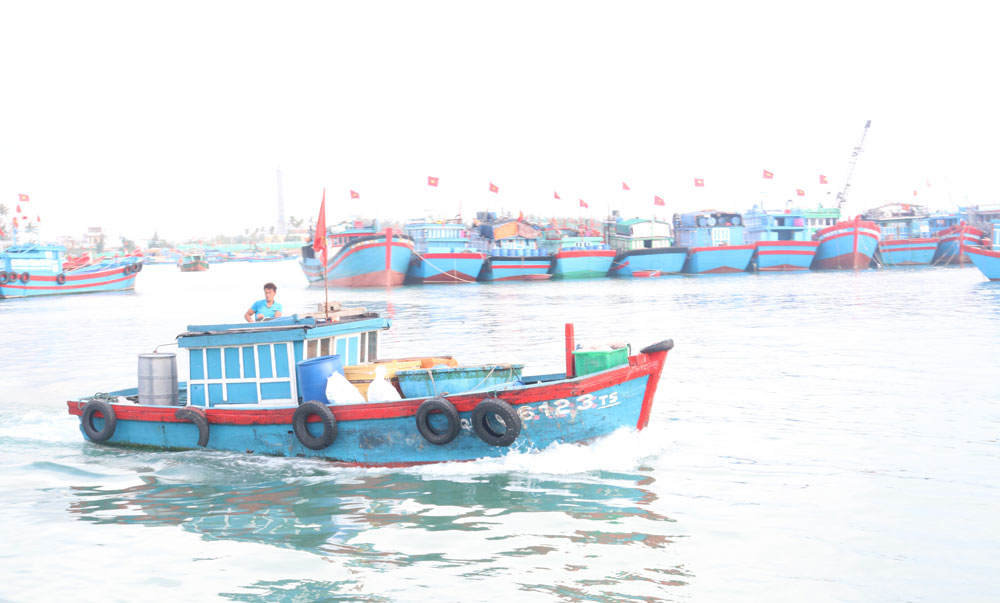 Tàu cá của ngư dân về neo đậu tại Cầu cảng Lý Sơn sau một đêm đánh bắt trở về