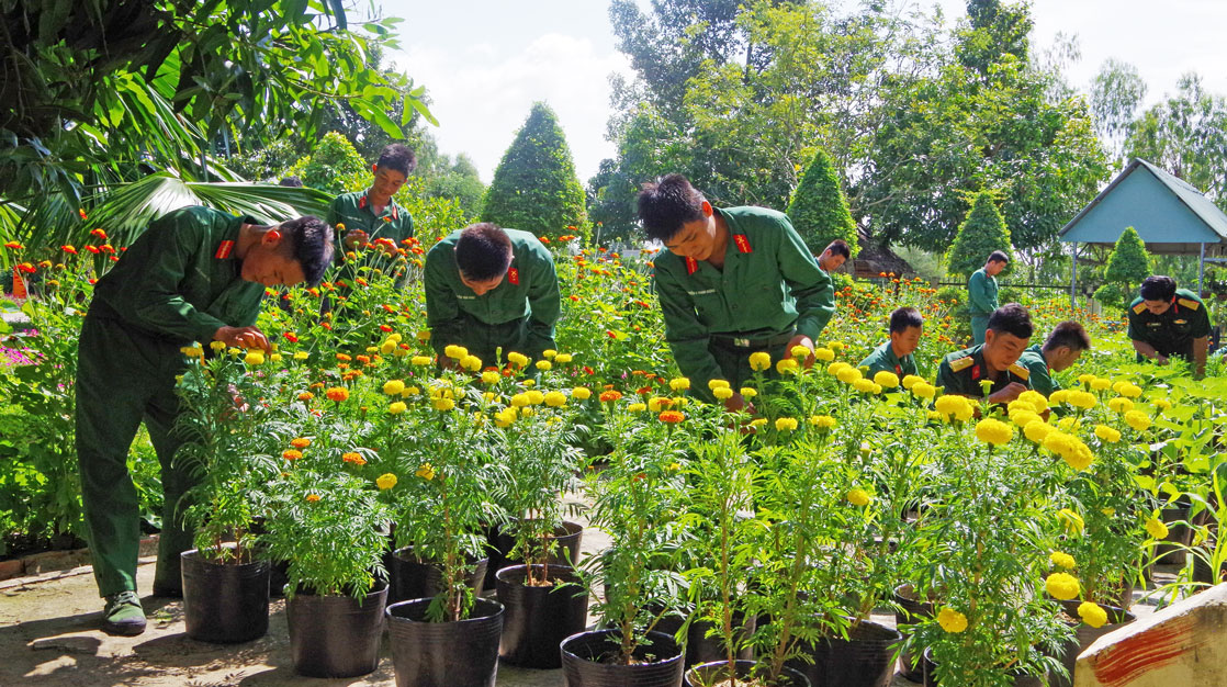 Cán bộ, chiến sĩ Đại đội Bộ binh Tân Hưng chăm sóc hoa kiểng chuẩn bị đón tết