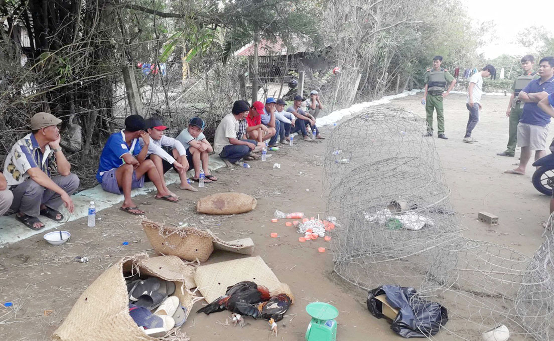 Triệt phá vụ đá gà trong đợt cao điểm tấn công phòng, chống tội phạm, tệ nạn xã hội dịp Tết Nguyên đán 2019