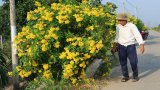 Châu Thành: Nhiều mô hình Dân vận khéo hiệu quả Châu Thành: Nhiều mô hình Dân vận khéo hiệu quả