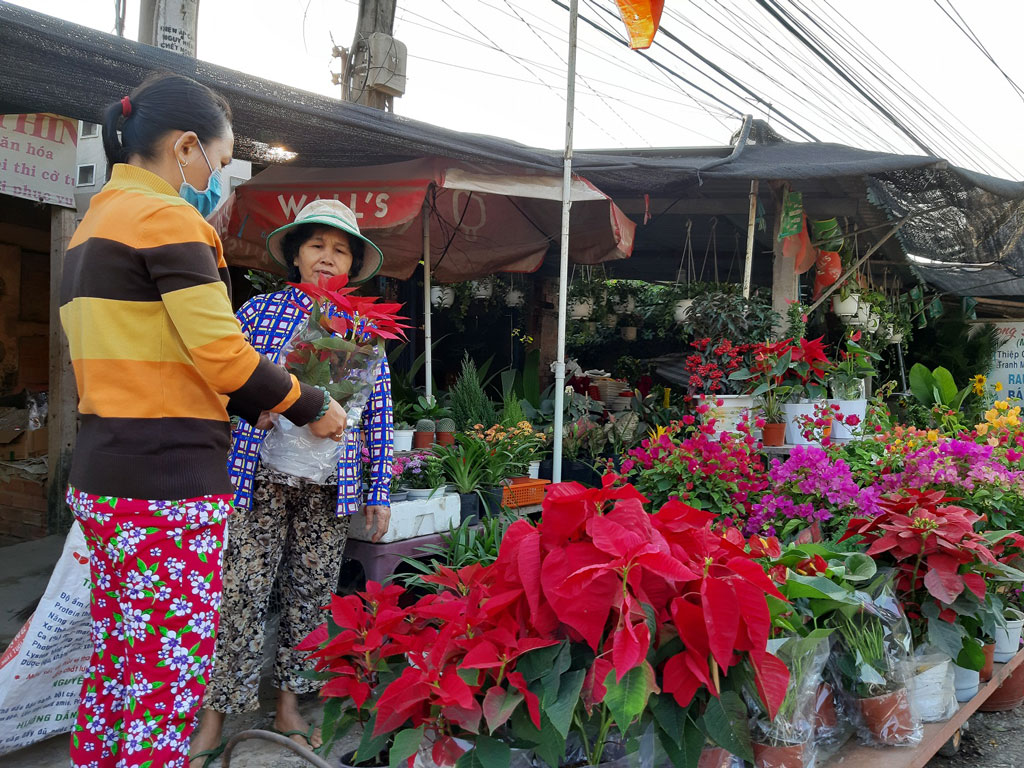 Không chỉ các gia đình, chợ từ thành phố đến biên giới cũng rộn ràng, đủ loại hoa và hàng hóa (Trong ảnh: Chợ tại xã Mỹ Thạnh Đông ngày giáp tết)