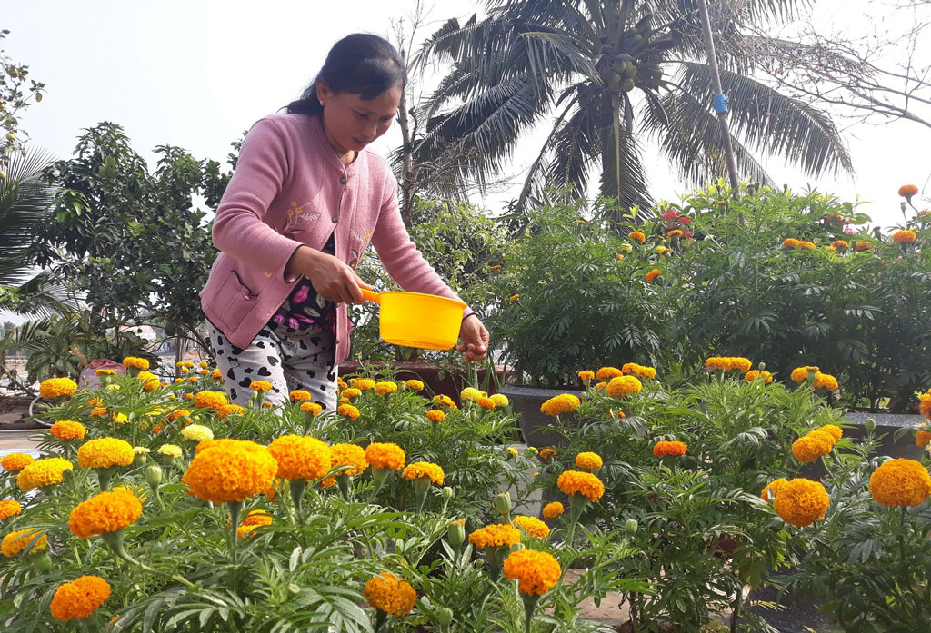 Năm nào cũng vậy, dù bận bịu đến đâu, gia đình bà Nguyễn Thị Kim Em (ấp Xuân Hòa 1, xã Thanh Vĩnh Đông, huyện Châu Thành) luôn giữ nếp đón tết của gia đình