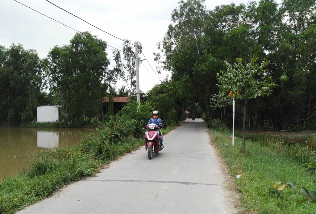 Đường  nông thôn xã Thanh Phú được lắp đèn chiếu sáng với sự đóng góp của nhân dân