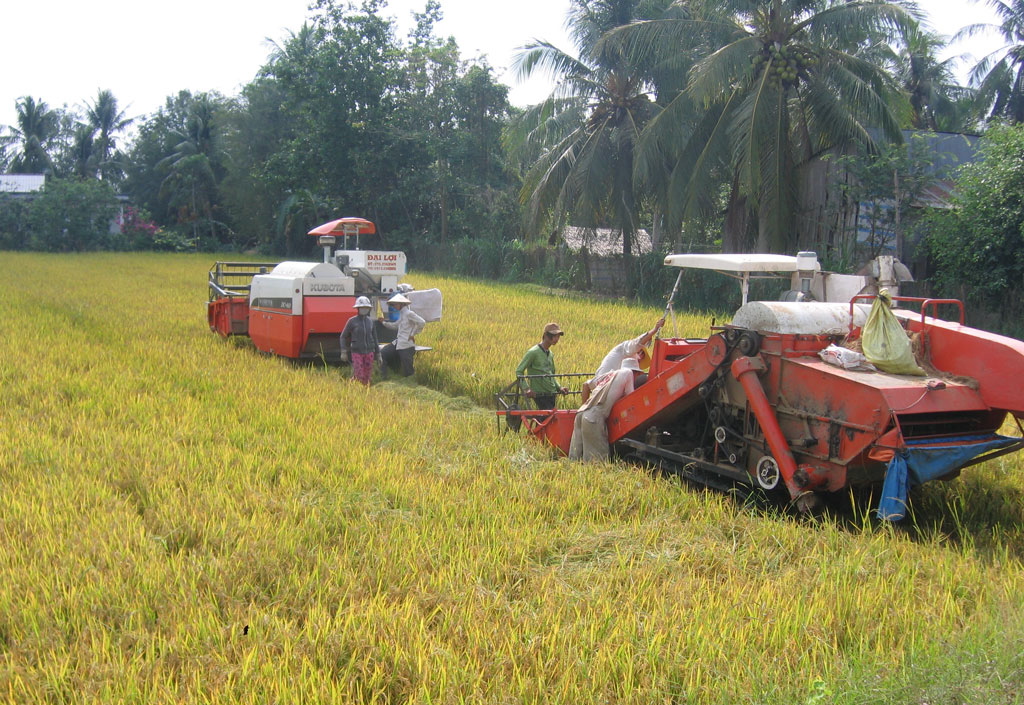Năm 2019: Ngành nông nghiệp Long An phấn đấu tốc độ tăng trưởng đạt 1,5%