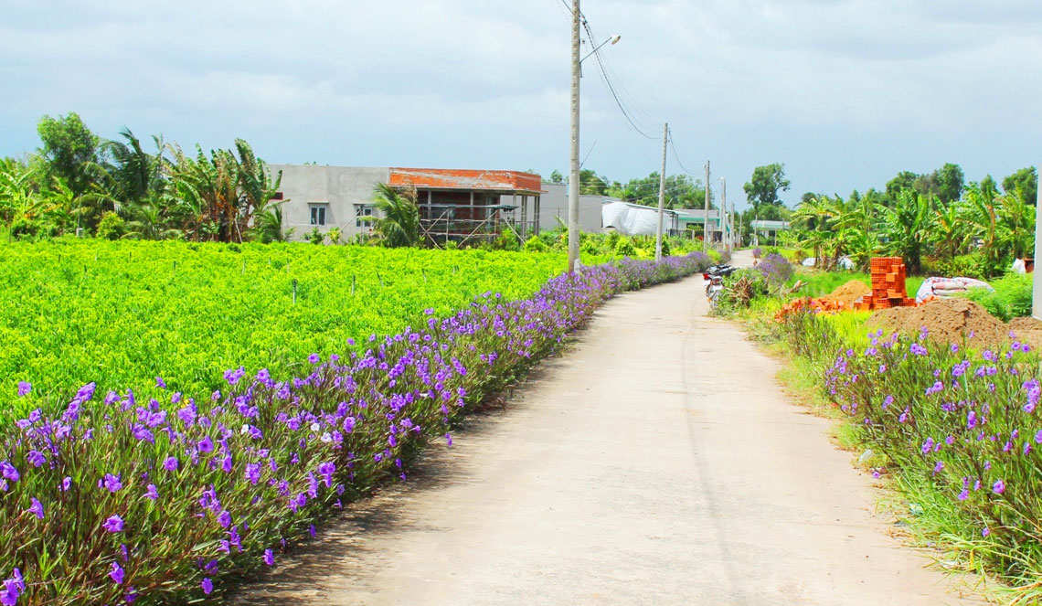 Diện mạo nông thôn Cần Đước ngày càng khởi sắc từ những công trình Về nguồn