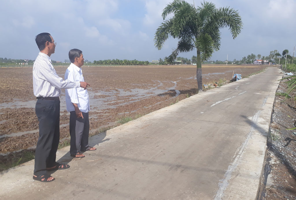Bình Trinh Đông về đích nông thôn mới